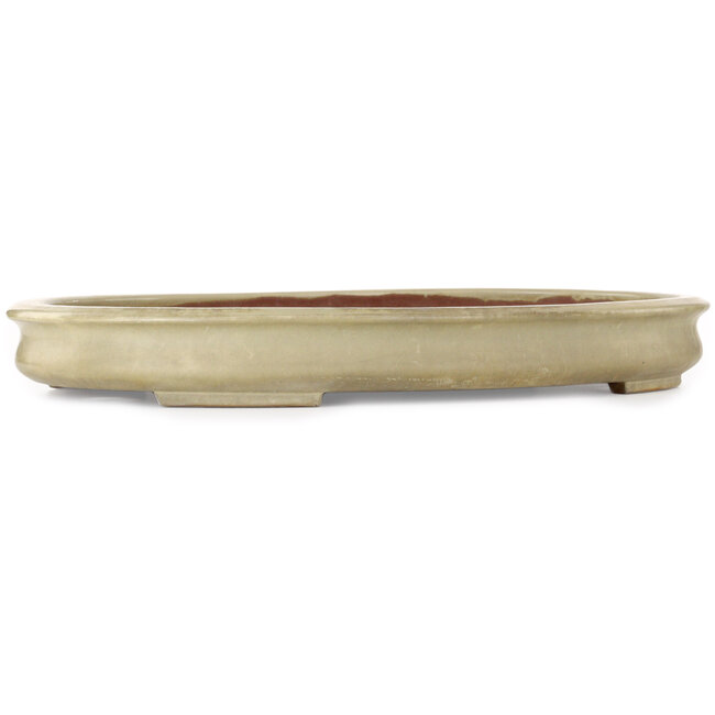 Oval off-white bonsai pot by Kakuzan - 560 x 403 x 70 mm