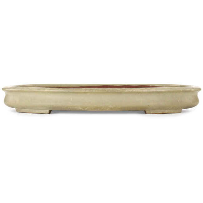 Oval off-white bonsai pot by Kakuzan - 560 x 403 x 70 mm