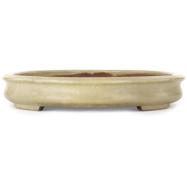 Oval off-white bonsai pot by Kakuzan - 560 x 403 x 70 mm