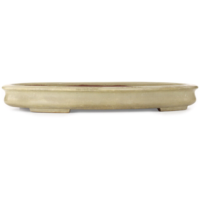 Oval off-white bonsai pot by Kakuzan - 560 x 403 x 70 mm