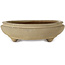Maceta ovalada color beige para bonsái de Hattori - 385 x 298 x 85 mm