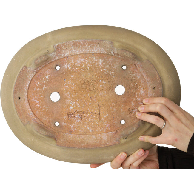 Oval beige bonsai pot by Hattori - 385 x 298 x 85 mm