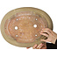 Ovale beige bonsaipot van Hattori - 385 x 298 x 85 mm