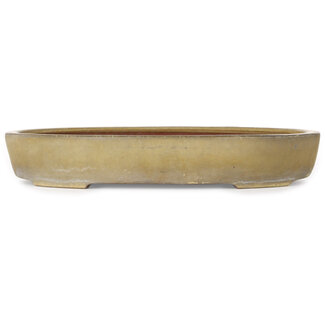  Reihou (Bonsai Matsushita Hiroyuki or Mr.MATSUSHITA Reiji    Master) 457 mm  beige bonsai pot by Reiho, Tokoname, Japan