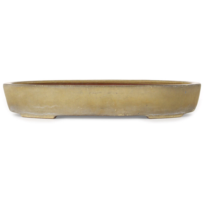 Oval beige bonsai pot by Reiho - 457 x 336 x 73 mm