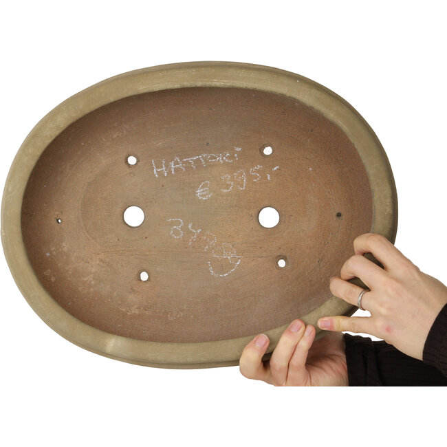 Ovale beige bonsaipot van Hattori - 385 x 298 x 85 mm