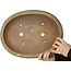 Pot à bonsaï ovale beige de Hattori - 385 x 298 x 85 mm