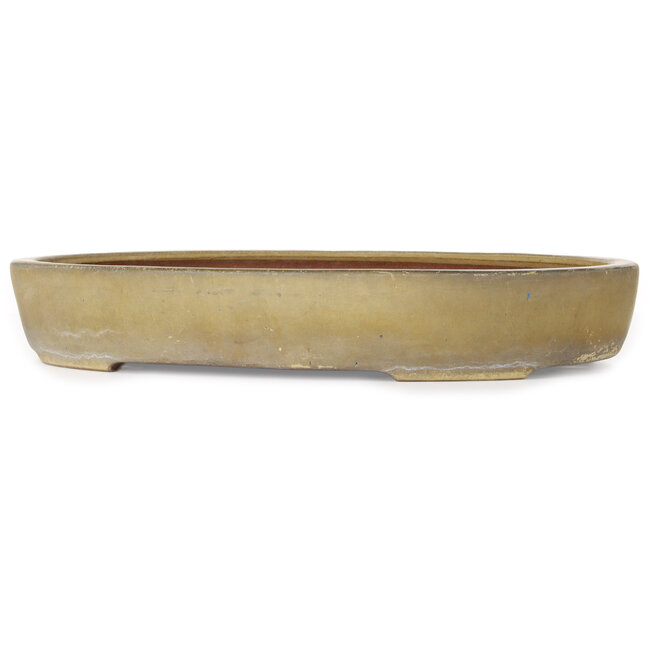 Oval beige bonsai pot by Reiho - 457 x 336 x 73 mm