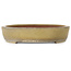 Pot à bonsaï ovale beige de Reiho - 457 x 336 x 73 mm