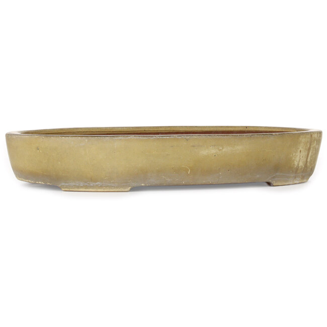 Pot à bonsaï ovale beige de Reiho - 457 x 336 x 73 mm