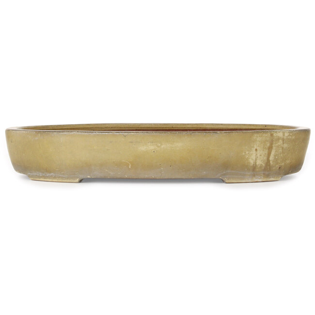 Pot à bonsaï ovale beige de Reiho - 457 x 336 x 73 mm