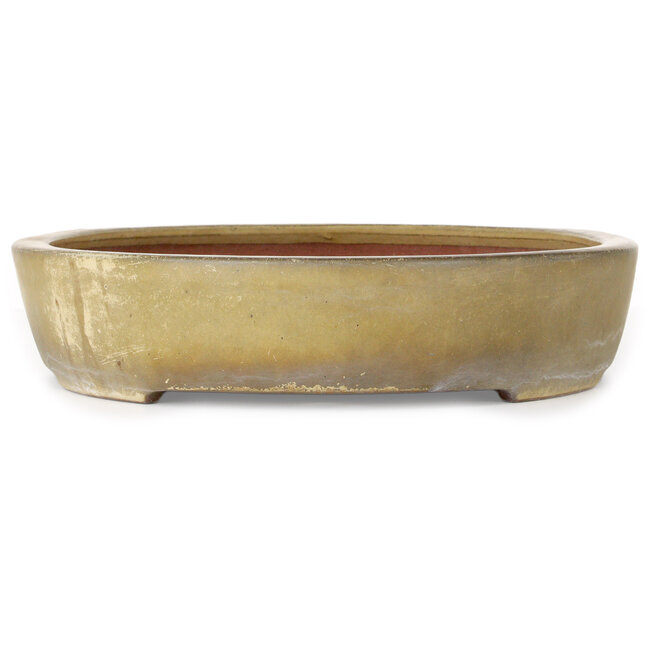 Ovaler, beigefarbener Bonsai-Topf von Reiho – 457 x 336 x 73 mm