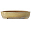 Ovale beige bonsaipot van Reiho - 457 x 336 x 73 mm