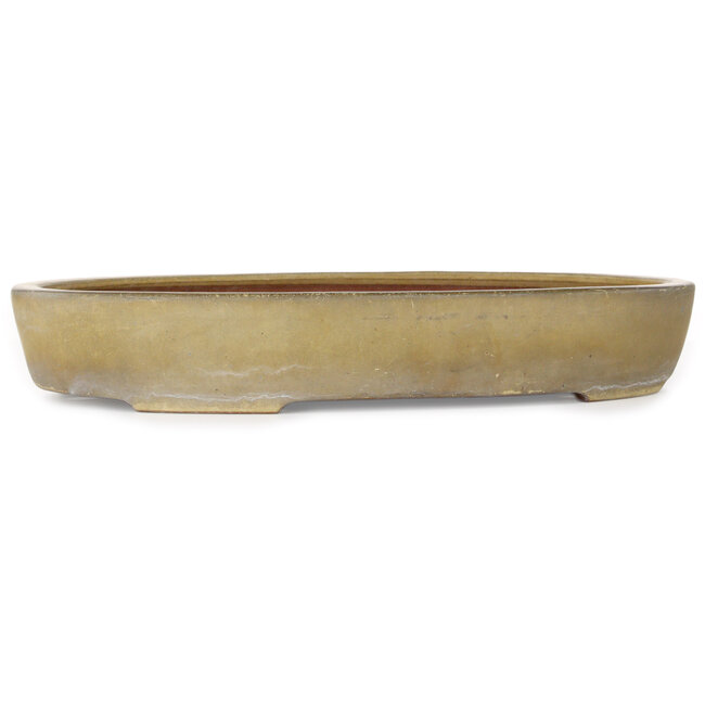 Maceta ovalada color beige para bonsái de Reiho - 457 x 336 x 73 mm