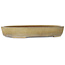 Maceta ovalada color beige para bonsái de Reiho - 457 x 336 x 73 mm