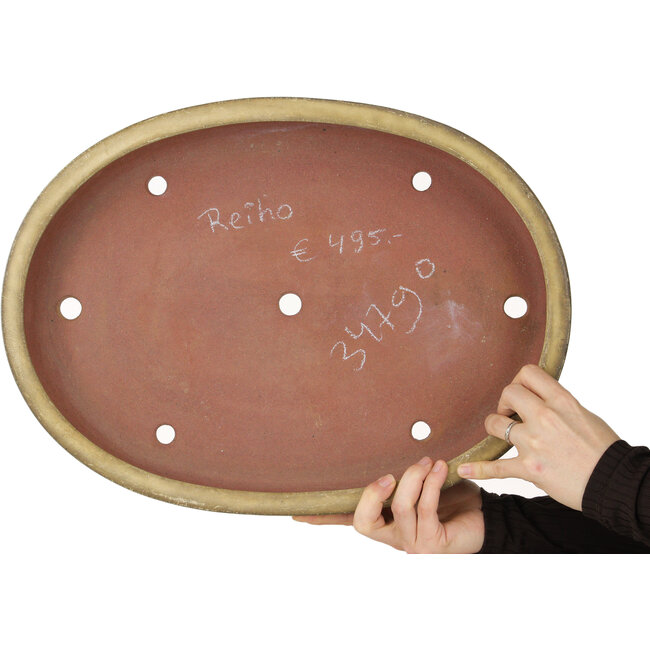 Oval beige bonsai pot by Reiho - 457 x 336 x 73 mm