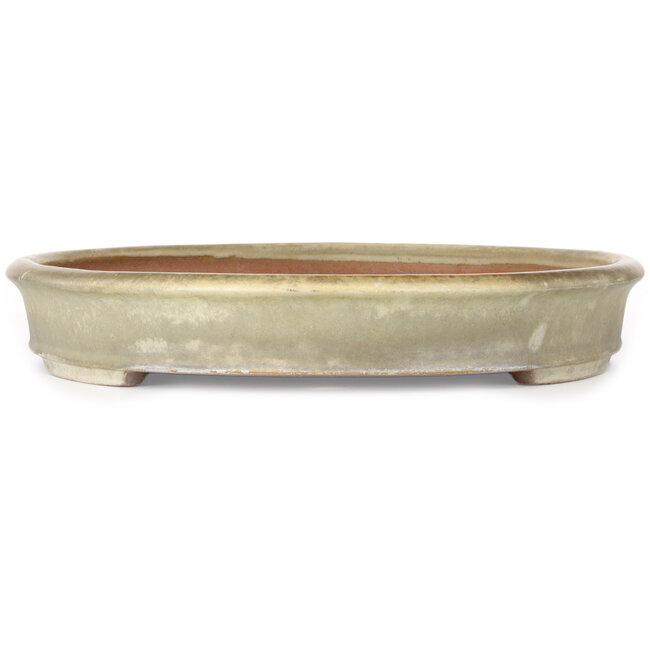 Oval beige bonsai pot by Yamafusa - 550 x 395 x 65 mm