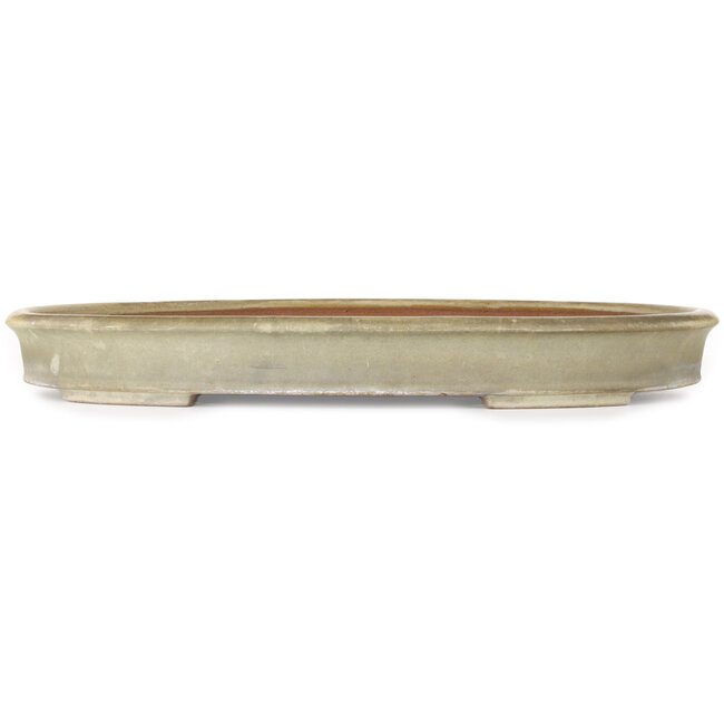 Oval beige bonsai pot by Yamafusa - 550 x 395 x 65 mm