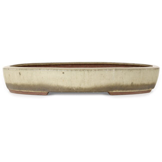 Gyouzan - Yukizyou Nakano & Yuuji Nakano Pot à bonsaï beige de 345 mm de diamètre, par Gyouzan, Tokoname, Japon
