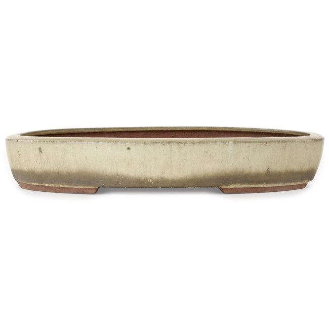 Pot à bonsaï ovale beige de Gyouzan - 345 x 270 x 55 mm