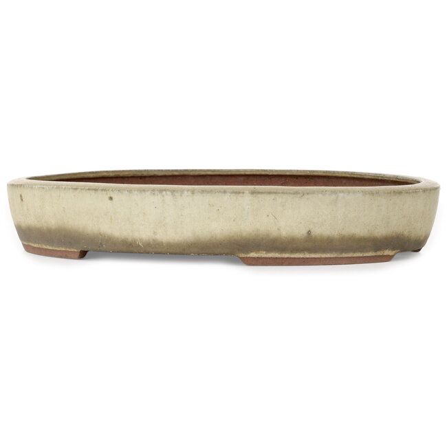 Oval beige bonsai pot by Gyouzan - 345 x 270 x 55 mm