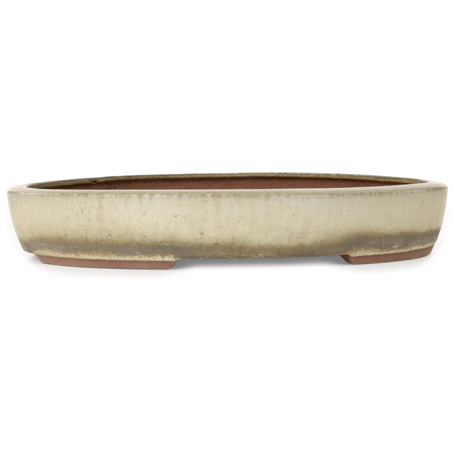 Ovale beige bonsaipot van Gyouzan - 345 x 270 x 55 mm