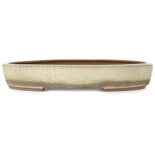 Ovale beige bonsaipot van Gyouzan - 345 x 270 x 55 mm