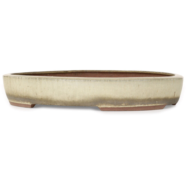 Vaso bonsai ovale beige di Gyouzan - 345 x 270 x 55 mm