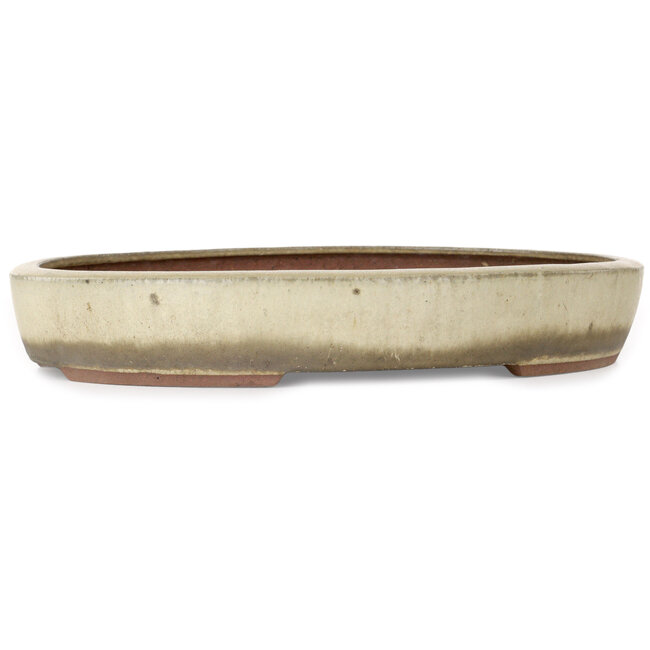 Ovaler, beigefarbener Bonsai-Topf von Gyouzan – 345 x 270 x 55 mm