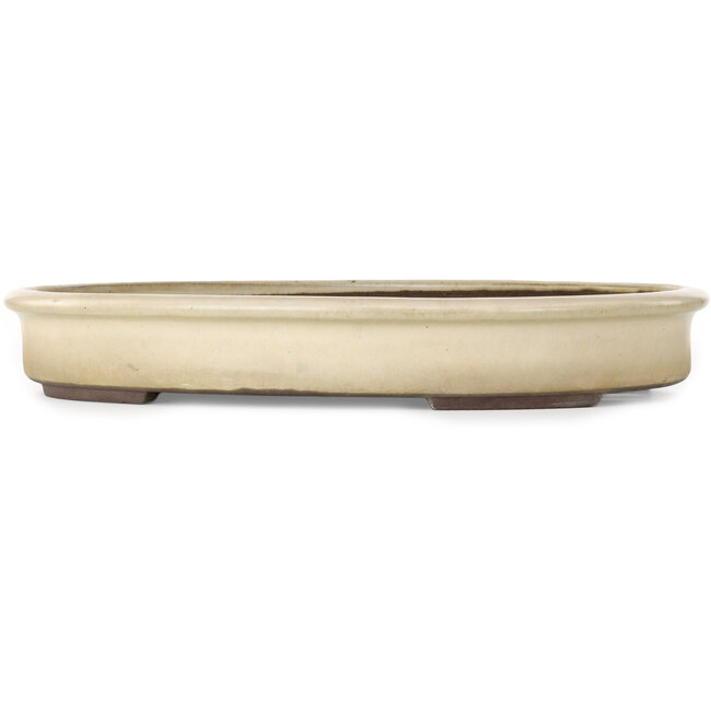 Vaso bonsai ovale beige di Yamaaki - 400 x 315 x 55 mm