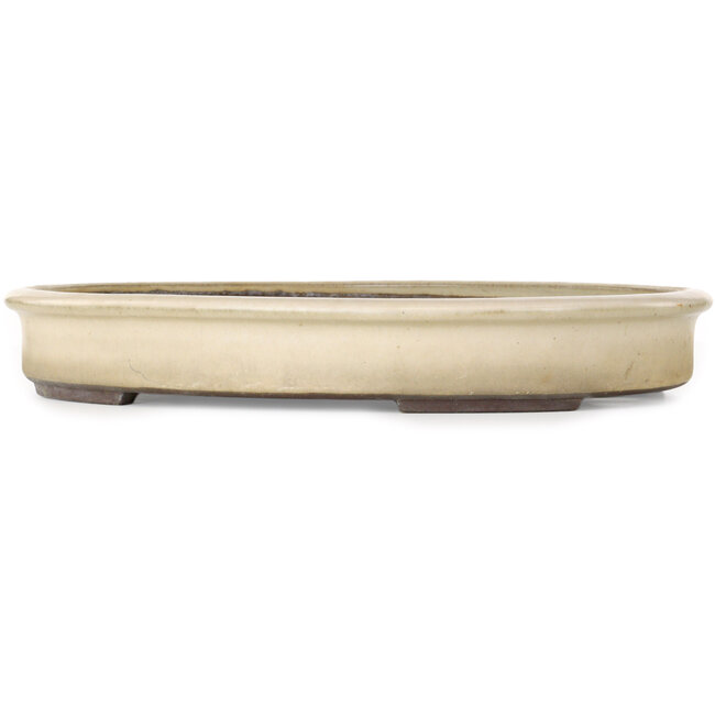 Maceta ovalada color beige para bonsái de Yamaaki - 400 x 315 x 55 mm