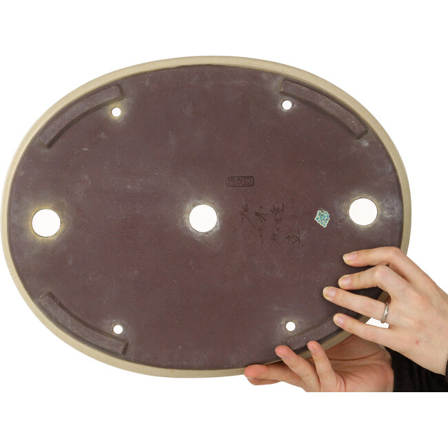 Pot à bonsaï ovale beige de Yamaaki - 400 x 315 x 55 mm