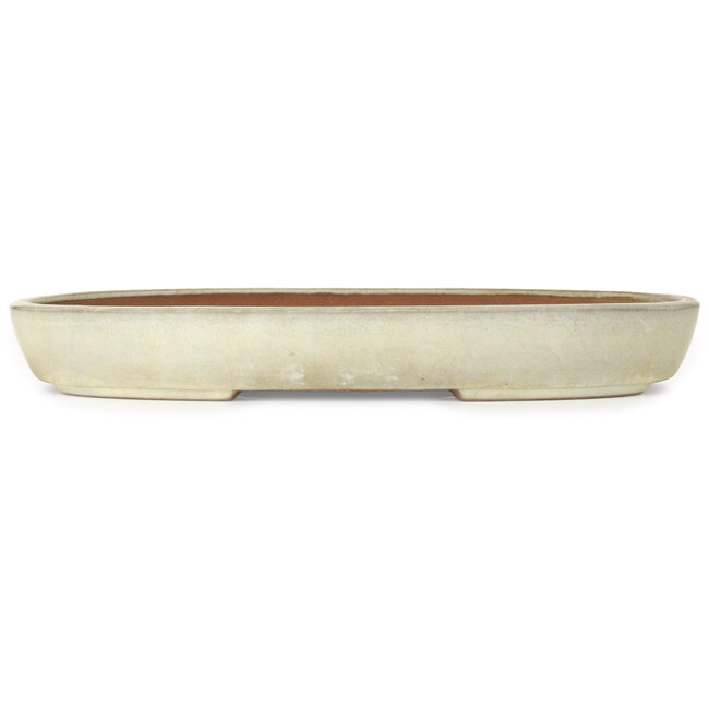 Oval beige bonsai pot by Yamafusa - 470 x 323 x 60 mm