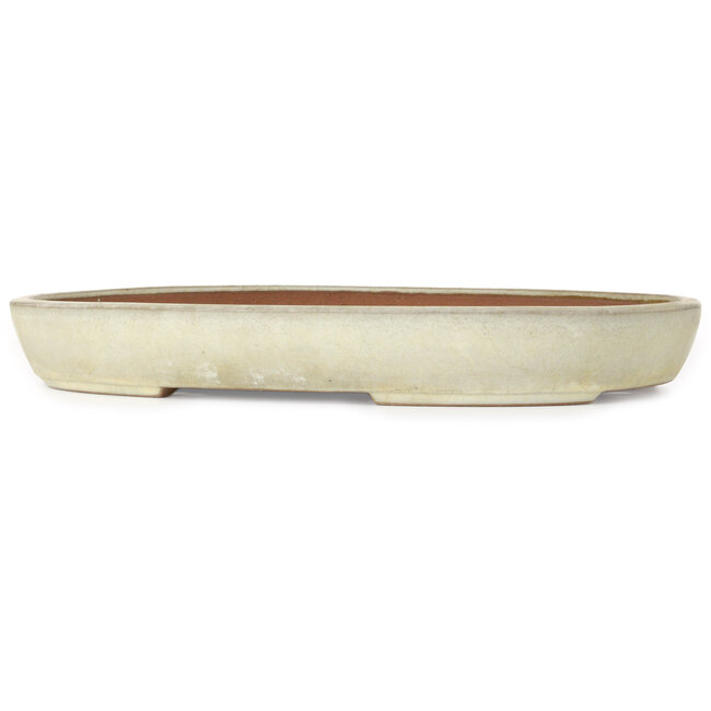 Pot à bonsaï ovale beige de Yamafusa - 470 x 323 x 60 mm