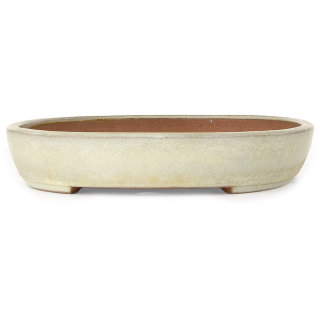 Maceta ovalada color beige para bonsái de Yamafusa - 470 x 323 x 60 mm