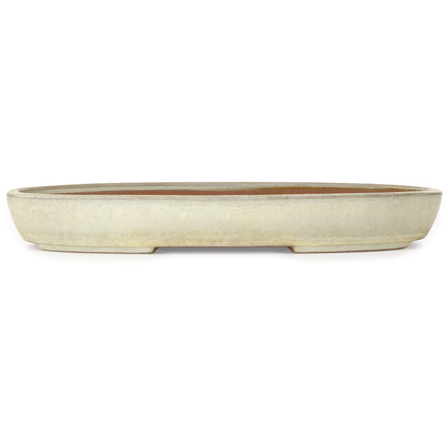Maceta ovalada color beige para bonsái de Yamafusa - 470 x 323 x 60 mm