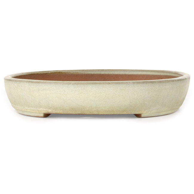 Oval beige bonsai pot by Yamafusa - 470 x 323 x 60 mm