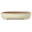 Oval beige bonsai pot by Yamafusa - 470 x 323 x 60 mm
