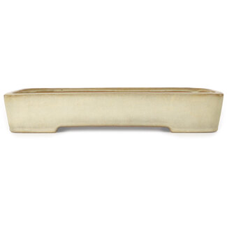  Yamafusa - Takehiko Koie 410 mm  beige bonsai pot by Yamafusa, Tokoname, Japan
