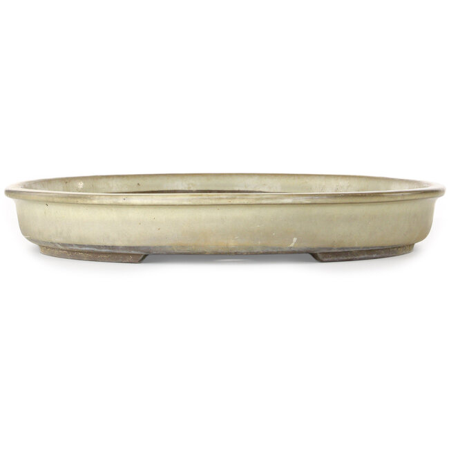Maceta ovalada color beige para bonsái de Haru Matsu - 622 x 448 x 65 mm