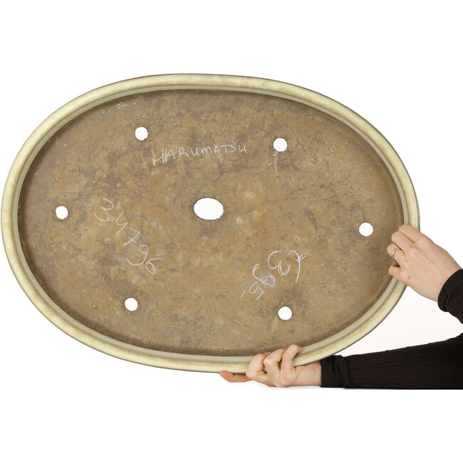 Pot à bonsaï ovale beige de Haru Matsu - 622 x 448 x 65 mm
