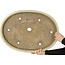 Maceta ovalada color beige para bonsái de Haru Matsu - 622 x 448 x 65 mm