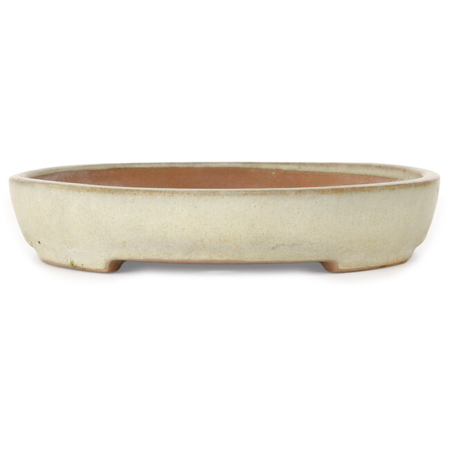 Maceta ovalada color beige para bonsái de Yamafusa - 350 x 275 x 50 mm