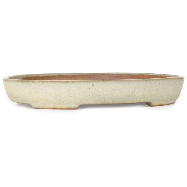 Oval beige bonsai pot by Yamafusa - 350 x 275 x 50 mm
