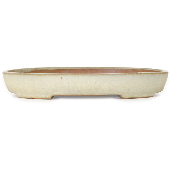 Vaso bonsai ovale beige di Yamafusa - 350 x 275 x 50 mm