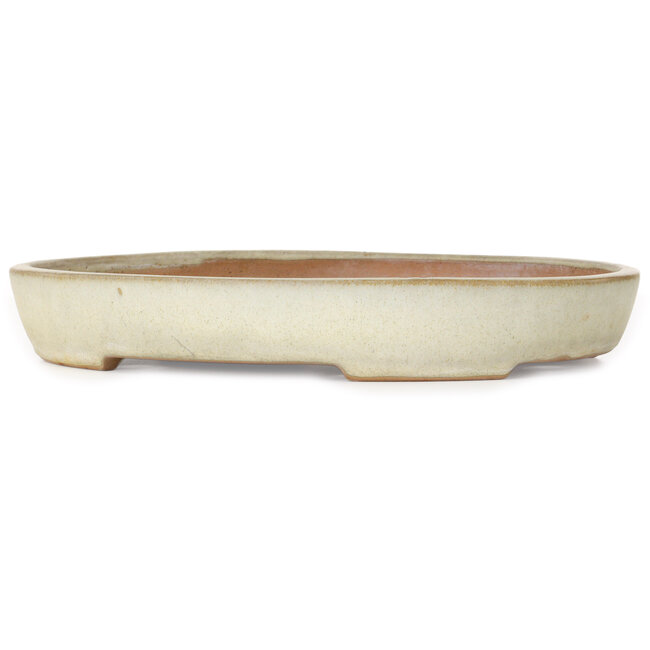 Pot à bonsaï ovale beige de Yamafusa - 350 x 275 x 50 mm
