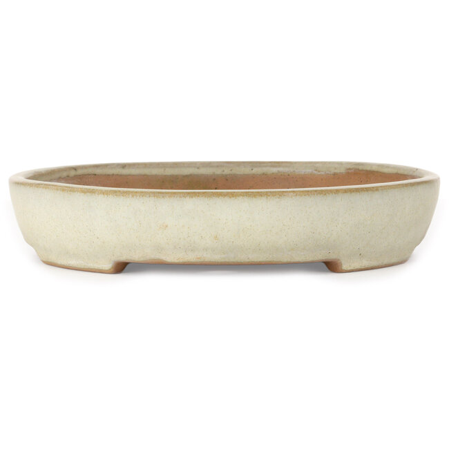Ovaler, beigefarbener Bonsai-Topf von Yamafusa – 350 x 275 x 50 mm
