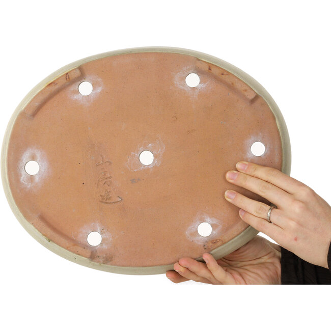 Ovale beige bonsaipot van Yamafusa - 350 x 275 x 50 mm
