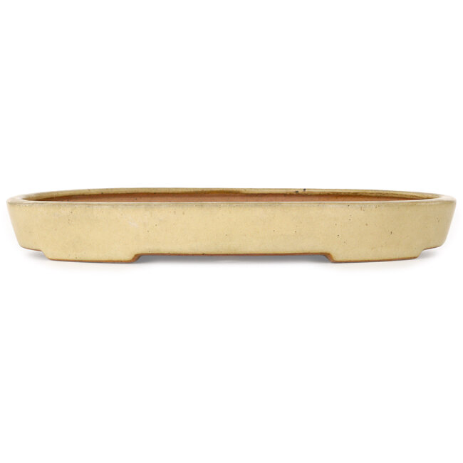 Oval beige bonsai pot by Reiho - 287 x 205 x 35 mm