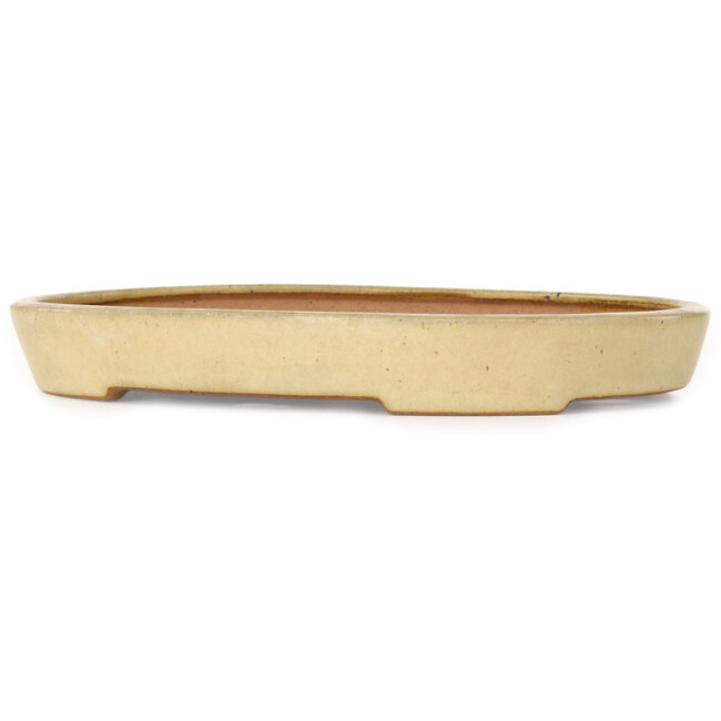Pot à bonsaï ovale beige de Reiho - 287 x 205 x 35 mm